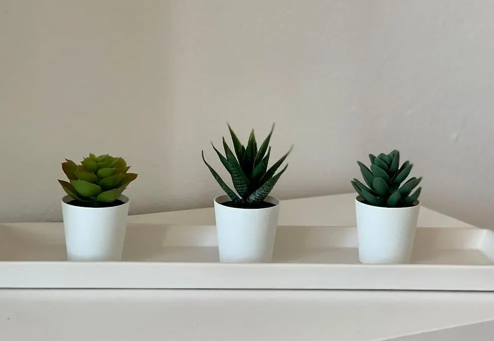 아파트 Salitre Apartamento 엘 골포